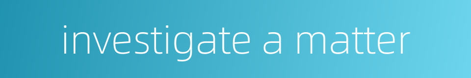 investigate a matter的同义词