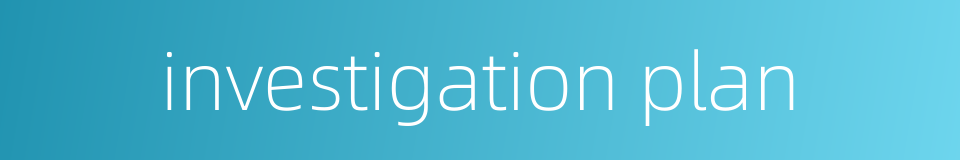 investigation plan的同义词