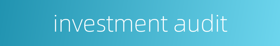 investment audit的同义词