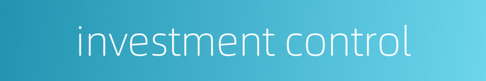 investment control的同义词