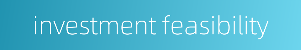 investment feasibility的同义词