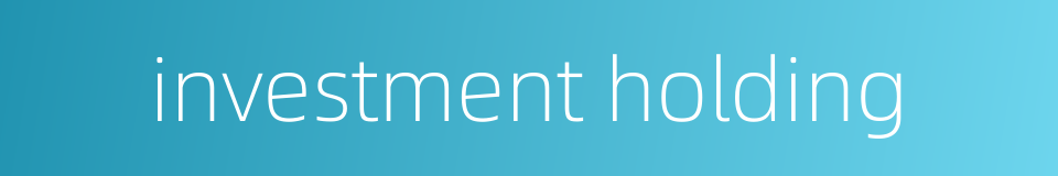 investment holding的同义词