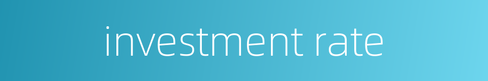 investment rate的同义词