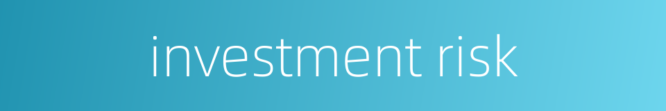 investment risk的同义词