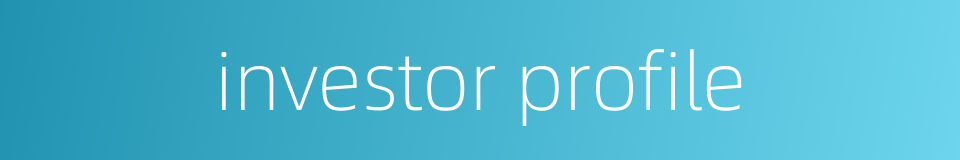 investor profile的同义词