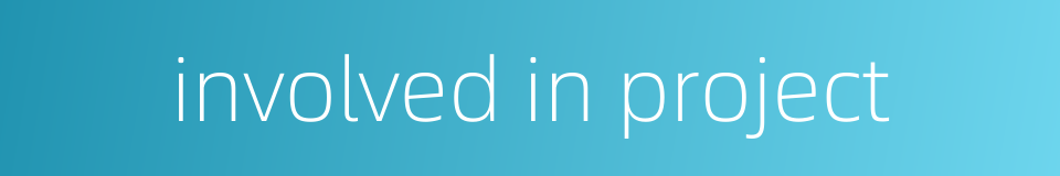 involved in project的同义词