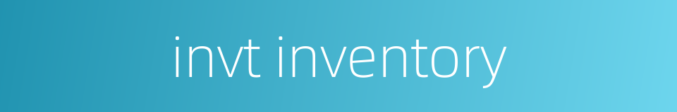 invt inventory的同义词