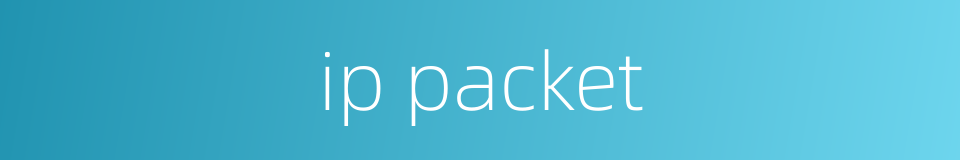 ip packet的同义词