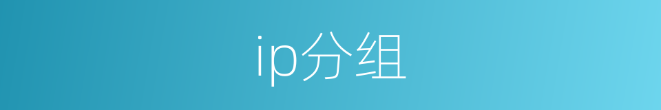 ip分组的同义词