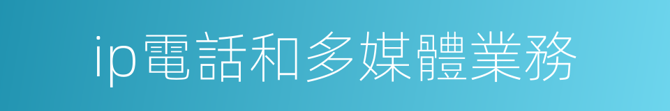 ip電話和多媒體業務的同義詞