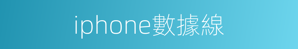 iphone數據線的同義詞