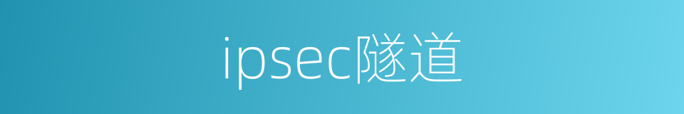 ipsec隧道的同义词