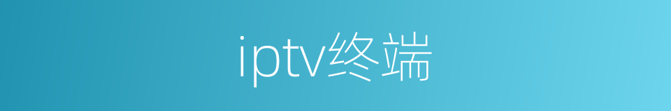 iptv终端的同义词