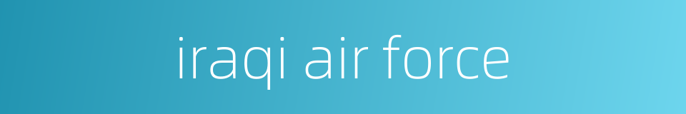 iraqi air force的同义词