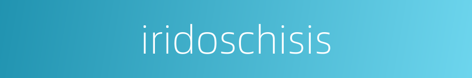 iridoschisis的同义词