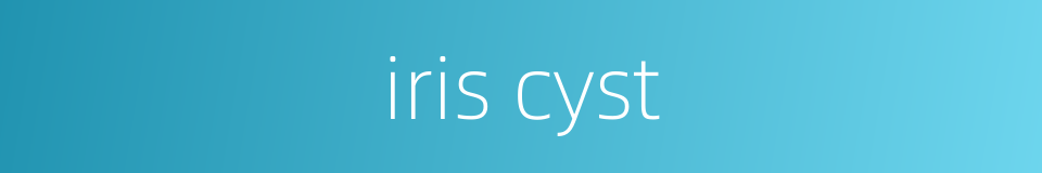 iris cyst的同义词