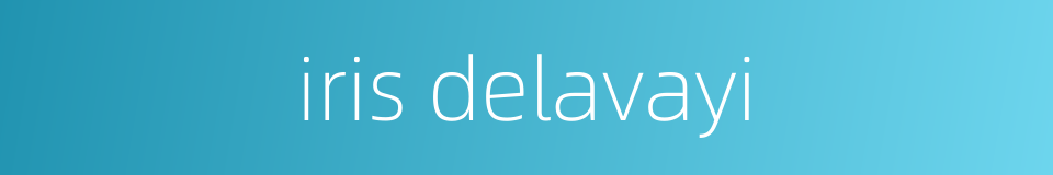 iris delavayi的同义词