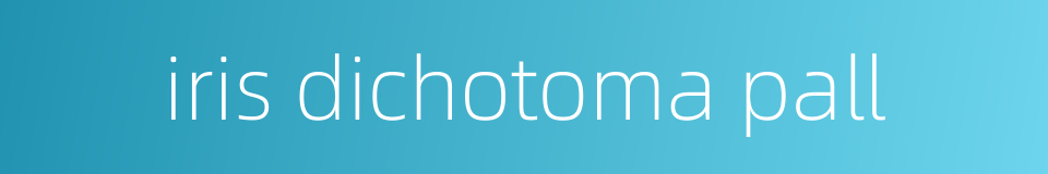 iris dichotoma pall的同义词