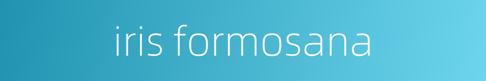 iris formosana的同义词
