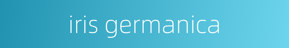 iris germanica的同义词