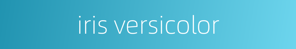 iris versicolor的同义词