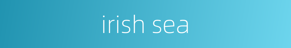 irish sea的同义词