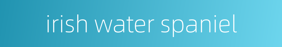 irish water spaniel的同义词