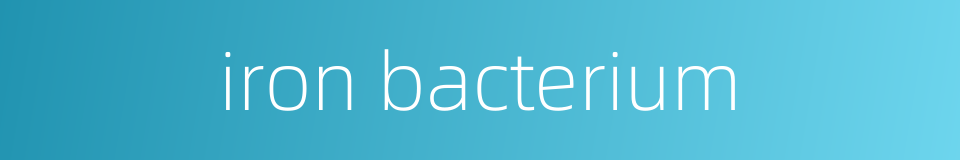 iron bacterium的同义词