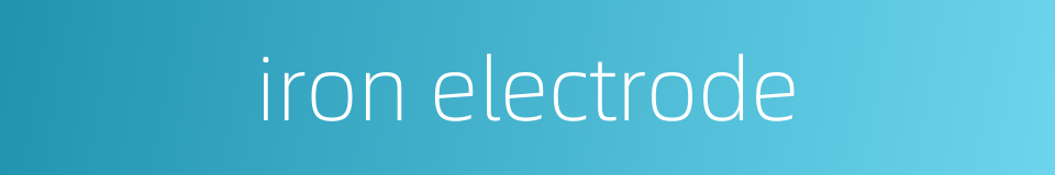 iron electrode的同义词