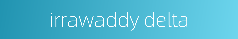 irrawaddy delta的同义词