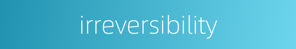 irreversibility的同义词