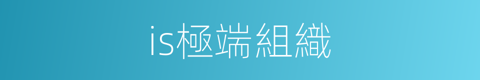 is極端組織的同義詞