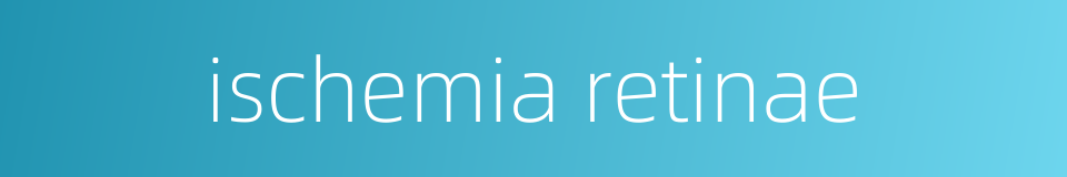 ischemia retinae的同义词