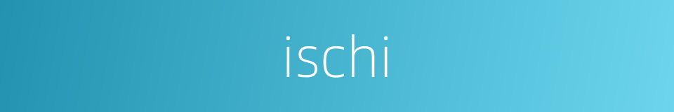 ischi的同义词