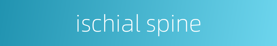 ischial spine的同义词