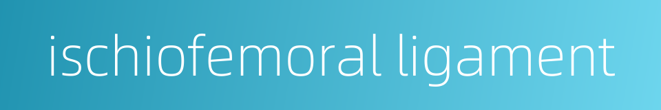 ischiofemoral ligament的同义词