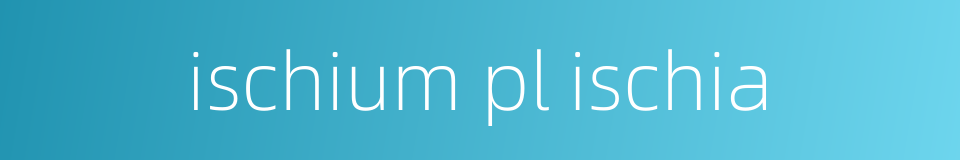 ischium pl ischia的同义词