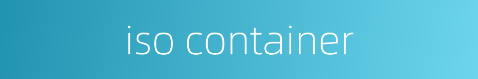 iso container的同义词