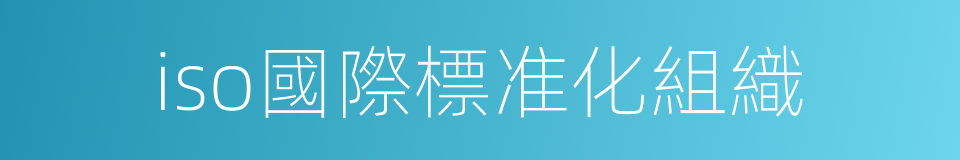 iso國際標准化組織的同義詞