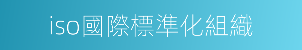 iso國際標準化組織的同義詞