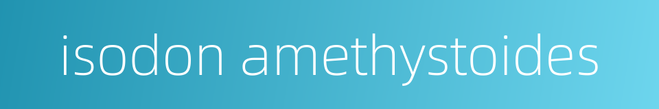 isodon amethystoides的同义词