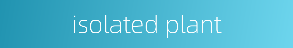 isolated plant的同义词