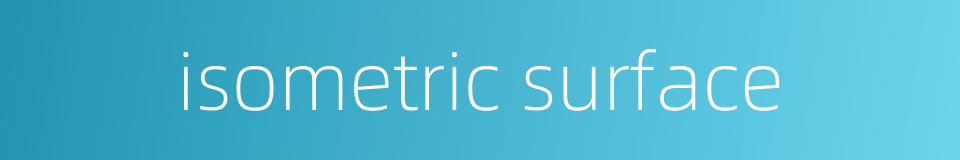 isometric surface的同义词