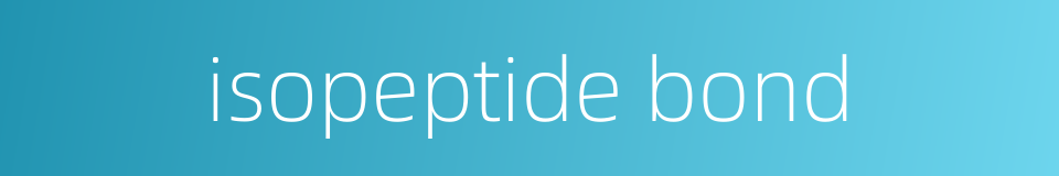 isopeptide bond的同义词