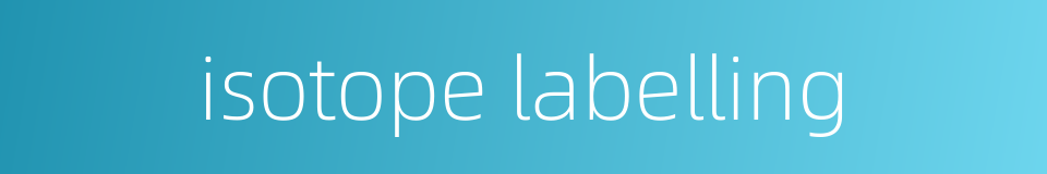 isotope labelling的同义词