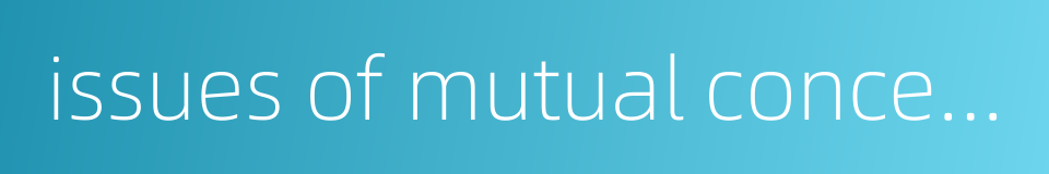 issues of mutual concern的同义词