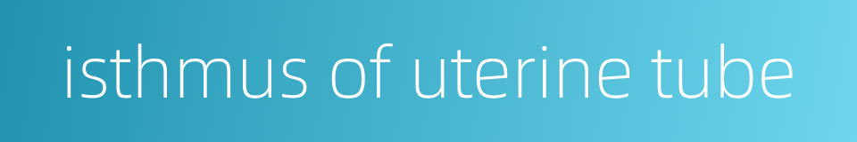 isthmus of uterine tube的同义词
