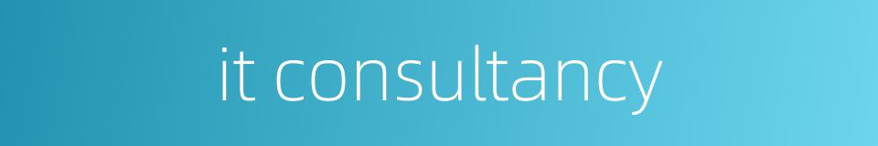 it consultancy的同义词