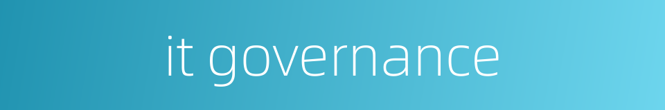 it governance的同义词