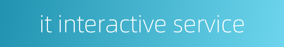 it interactive service的同义词